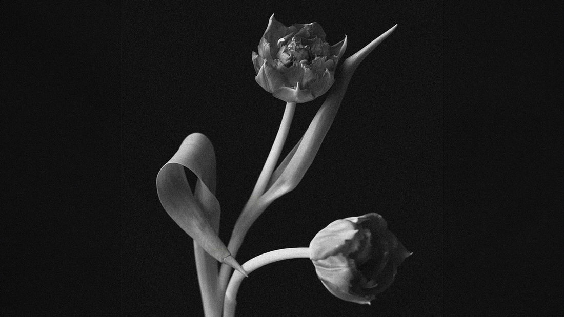 Enfleurage: The Lost Art Behind Our Gardenia